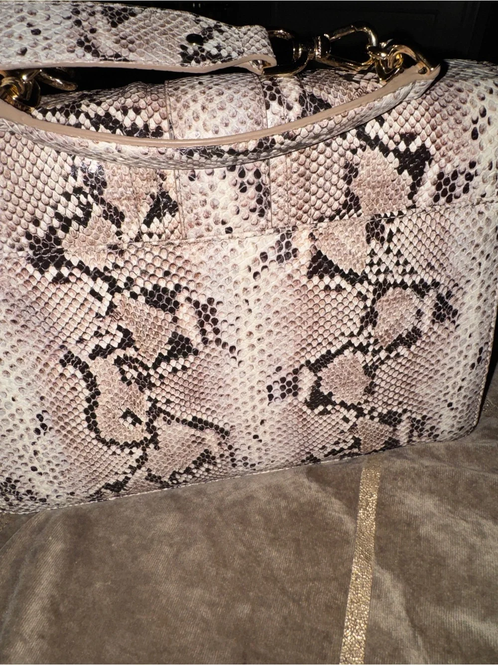 Brahmin Pink and Black Snake-Embossed Satchel with Gold Hardware